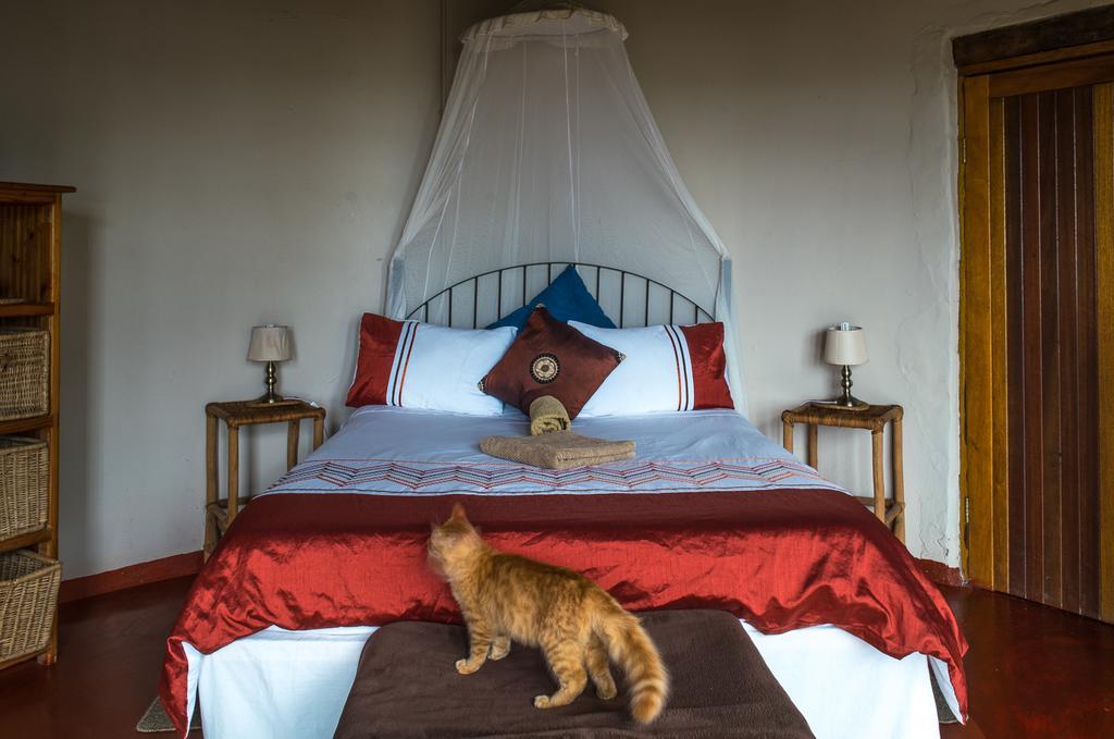 Delicious Monster Accommodation Port Saint Johnʼs Exteriér fotografie